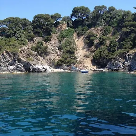 Giens Superbe Vue Mer A 180° Piscine Et Jacuzzi Villa *